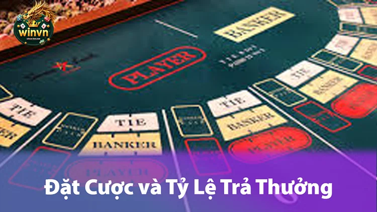 Hướng Dẫn Đặt Cược và Tỷ Lệ Trả Thưởng Trong Baccarat Winvn