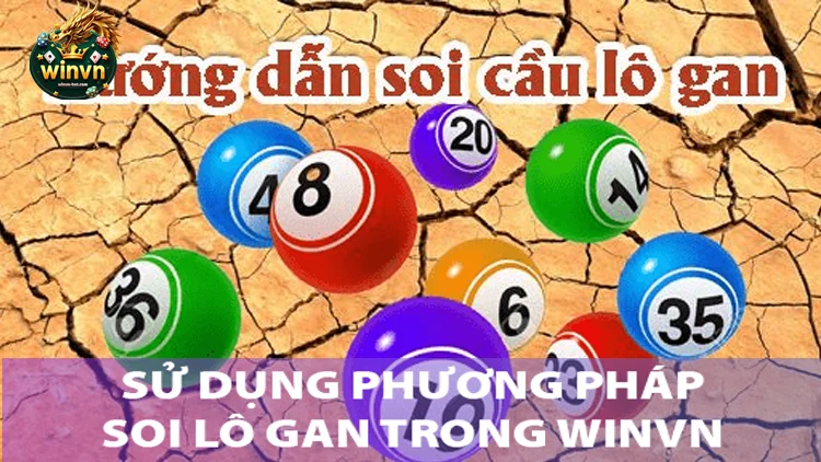 phương pháp soi lô gan