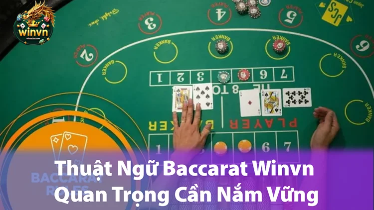 Thuật Ngữ Baccarat Winvn Quan Trọng Cần Nắm Vững