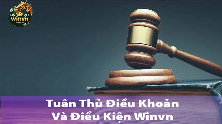 tuân thủ chính sách điều khoản và điều kiện winvn