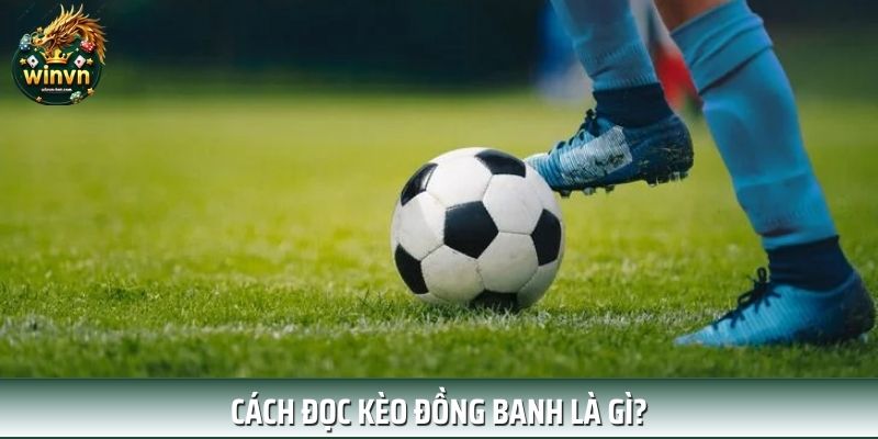 Cách đọc đồng banh kèo bóng đá rất đơn giản Cách đọc đồng banh kèo bóng đá rất đơn giản