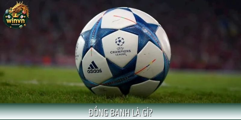 Đồng Banh Là Gì? Điều Cần Biết Khi Tham Gia Cá Độ Bóng Đá