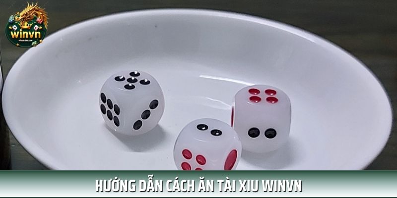 Chi tiết cách ăn tài xỉu cho hội viên mới tại nền tảng Chi tiết cách ăn tài xỉu cho hội viên mới tại nền tảng