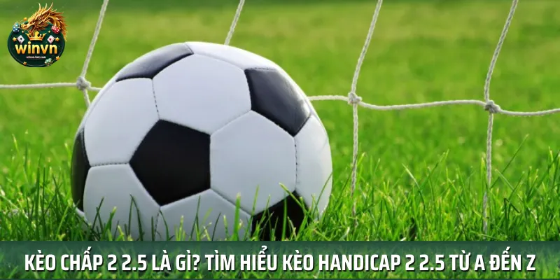 Kèo Chấp 2 2.5 Là Gì? Tìm Hiểu Kèo Handicap 2 2.5 Từ A Đến Z