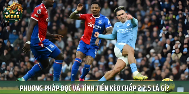 Cách đọc kèo chấp 2 2.5 tương đối phức tạp đối với người mới Cách đọc kèo chấp 2 2.5 tương đối phức tạp đối với người mới