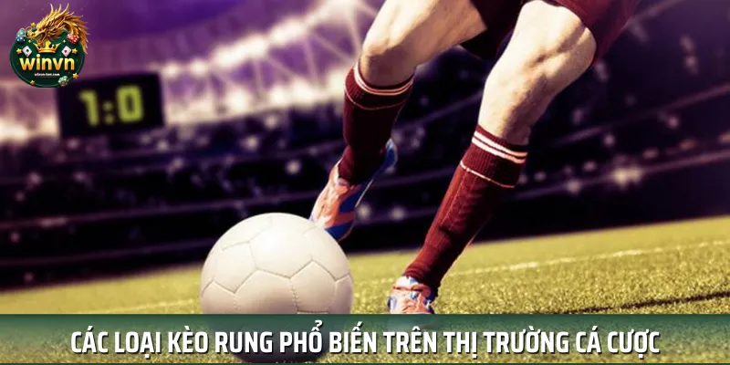 Khám phá cược hiệp 1 trong kèo rung là gì Khám phá cược hiệp 1 trong kèo rung là gì