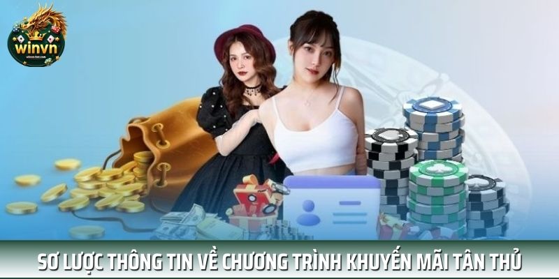 Sơ lược thông tin về chương trình khuyến mãi tân thủ Sơ lược thông tin về chương trình khuyến mãi tân thủ