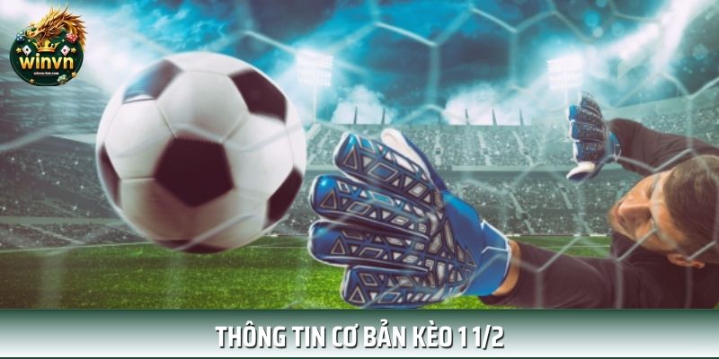 Những thông tin cơ bản về tỷ lệ kèo 1 1/2 dành cho bạn Những thông tin cơ bản về tỷ lệ kèo 1 1/2 dành cho bạn