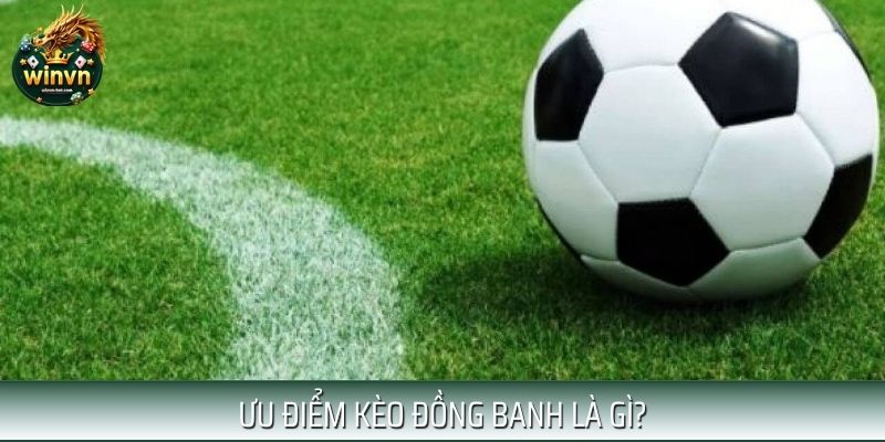 Ưu điểm nổi trội loại kèo đồng banh là gì? Ưu điểm nổi trội loại kèo đồng banh là gì?